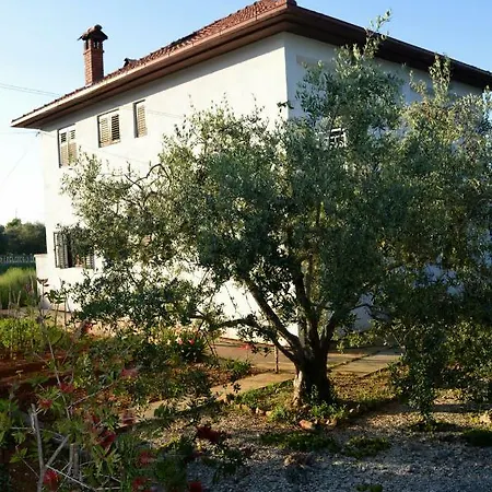 Appartement Lavanda