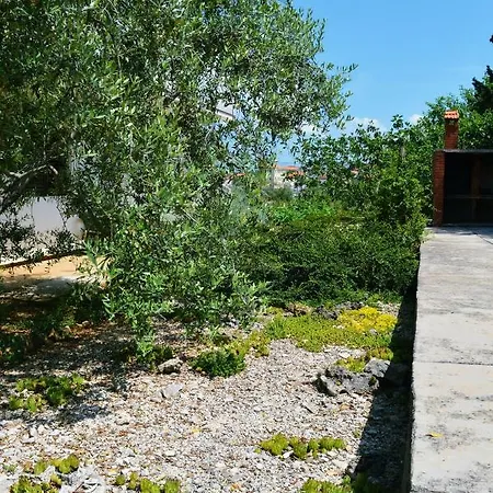 Lavanda *