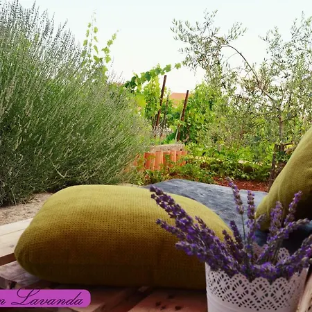 Lavanda *